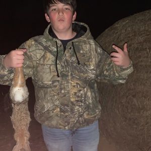 Meet your Posher, Logan